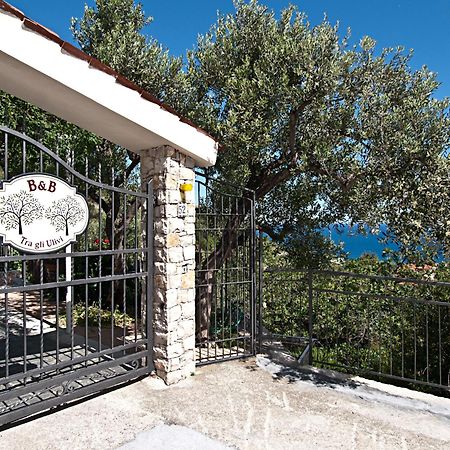 Bed and Breakfast Tra Gli Ulivi Pietra Ligure Zewnętrze zdjęcie