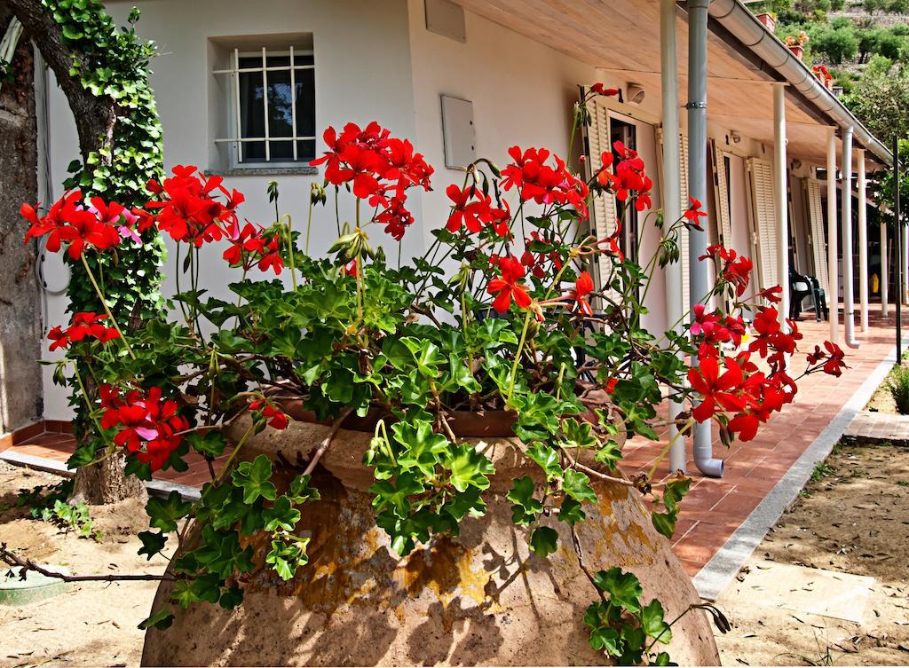 Bed and Breakfast Tra Gli Ulivi Pietra Ligure Zewnętrze zdjęcie